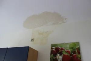 Michael_Krueckels_Feuchteschäden_2